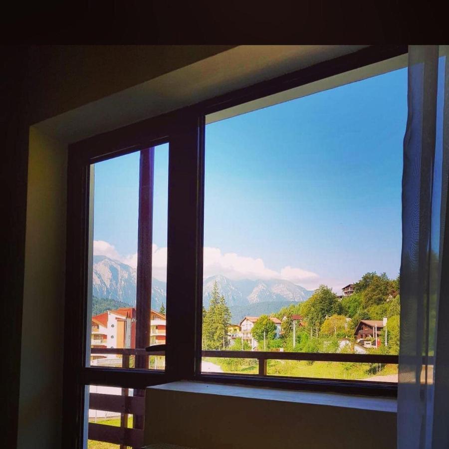 Hotel Pin Azuga Luaran gambar