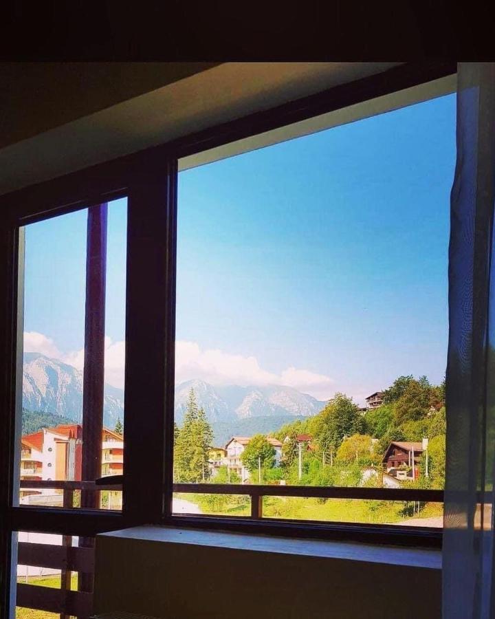 Hotel Pin Azuga Luaran gambar